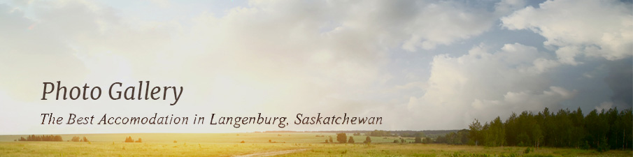 Langenburg Country Inn Motel photo